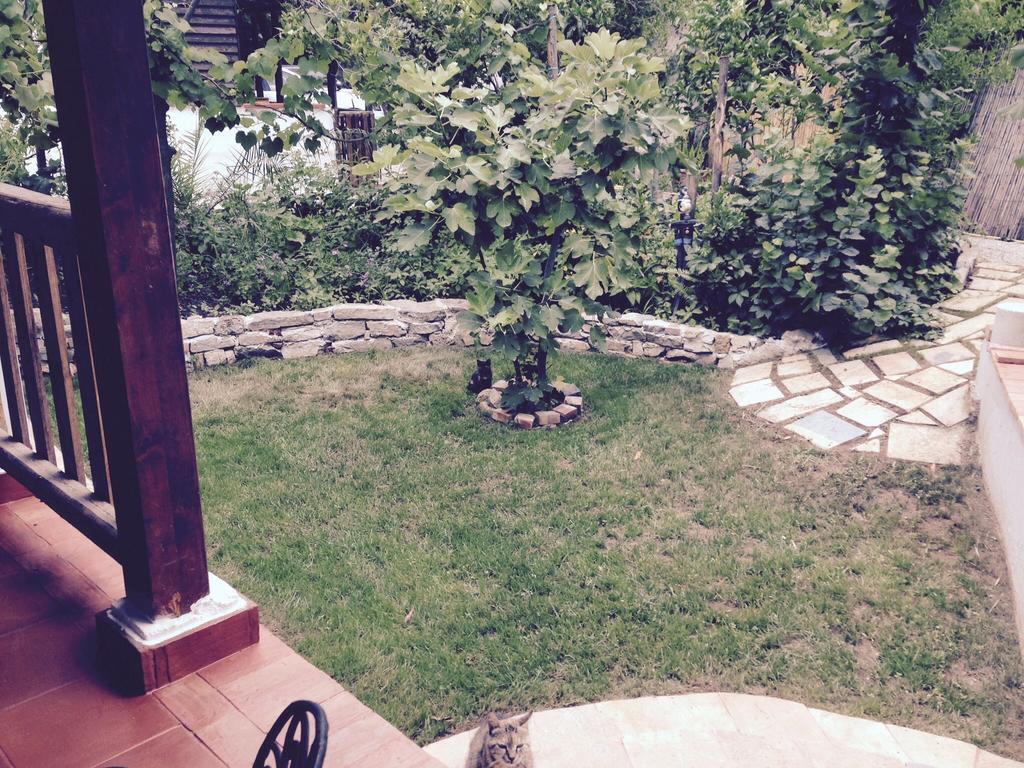 פסטום Residenza Luna מראה חיצוני תמונה